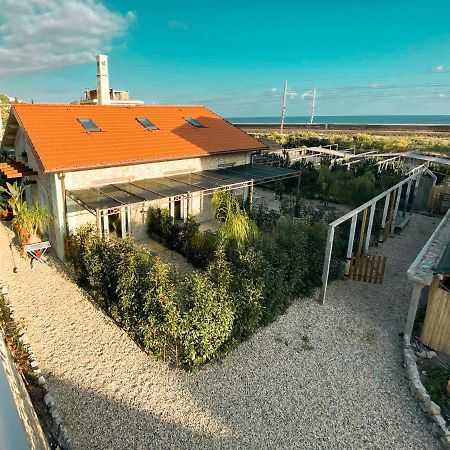 Апартаменты New Agriloft 4 Palms Clima, Giardino E Wi-Fi A 50 Mt Dal Mare Бордигера Экстерьер фото
