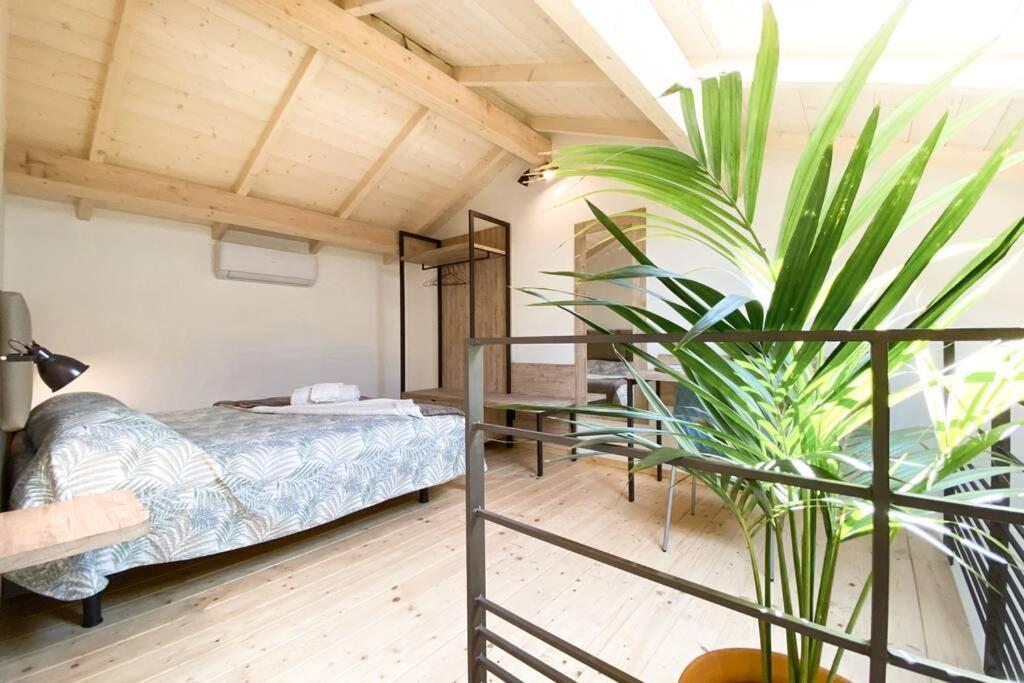 Апартаменты New Agriloft 4 Palms Clima, Giardino E Wi-Fi A 50 Mt Dal Mare Бордигера Экстерьер фото
